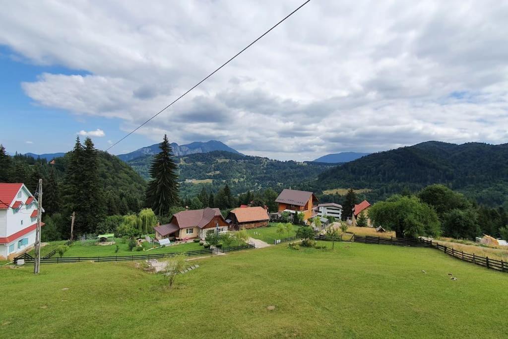 Chalet Dor De Munte Предеал Екстериор снимка