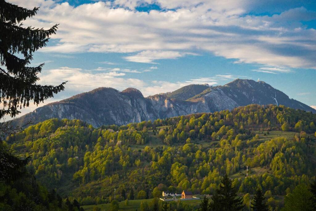 Chalet Dor De Munte Предеал Екстериор снимка
