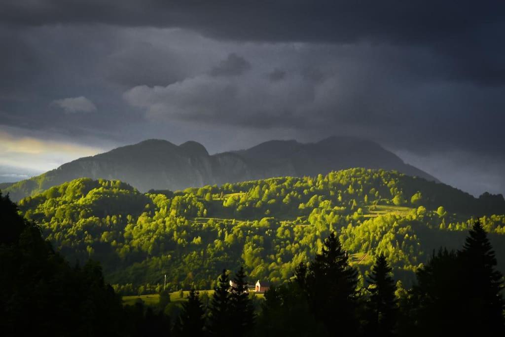 Chalet Dor De Munte Предеал Екстериор снимка