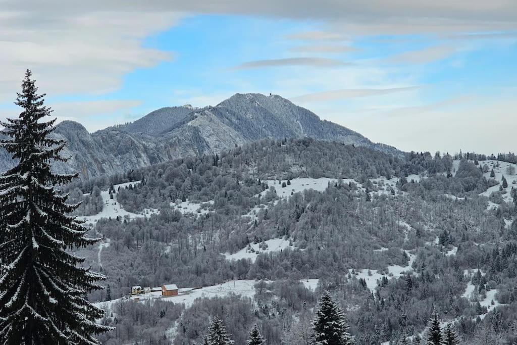 Chalet Dor De Munte Предеал Екстериор снимка